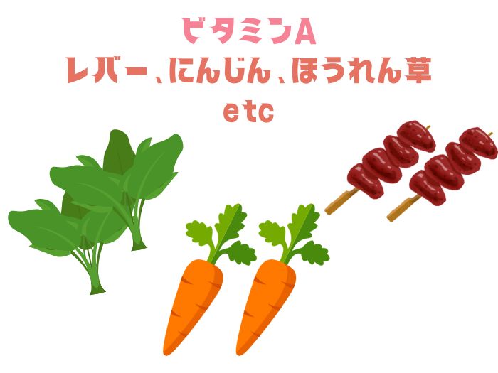 ビタミンA 食材のイラスト
