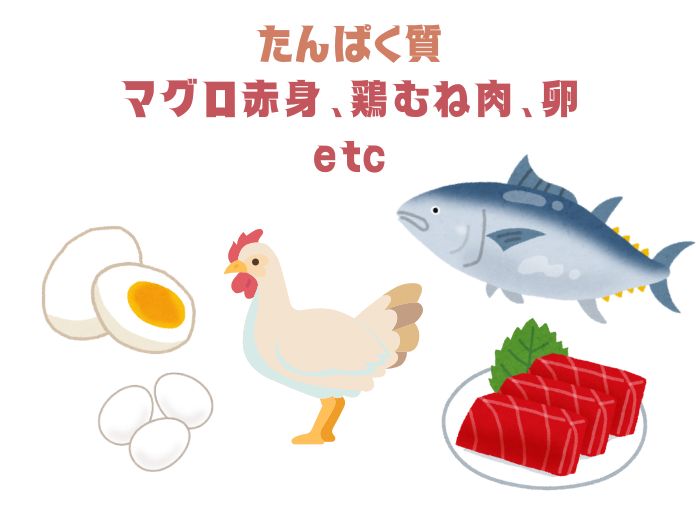 たんぱく質 食材のイラスト