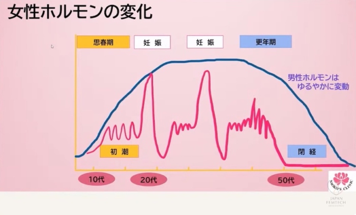 女性ホルモン変化の画像