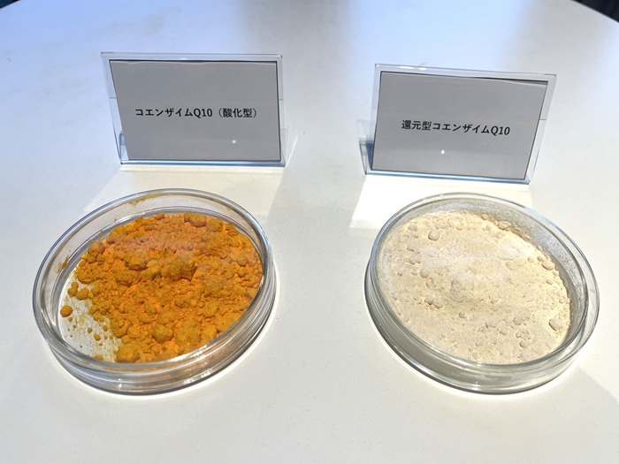 還元型コエンザイムQ10 メディアセミナー～肌のターンオーバー編～