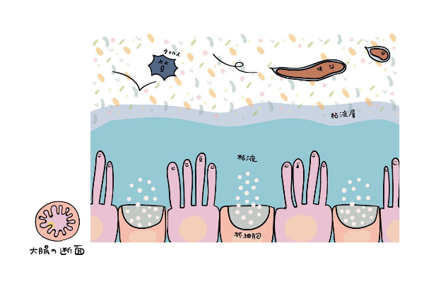 健康サイトの腸内環境図