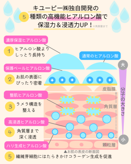 キユーピーが開発した5種類の高機能ヒアルロン酸