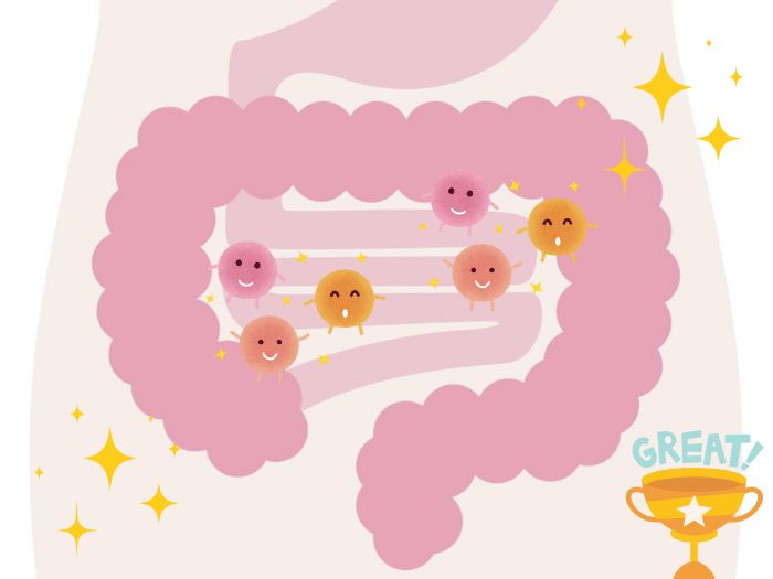 よい腸内環境のイメージ