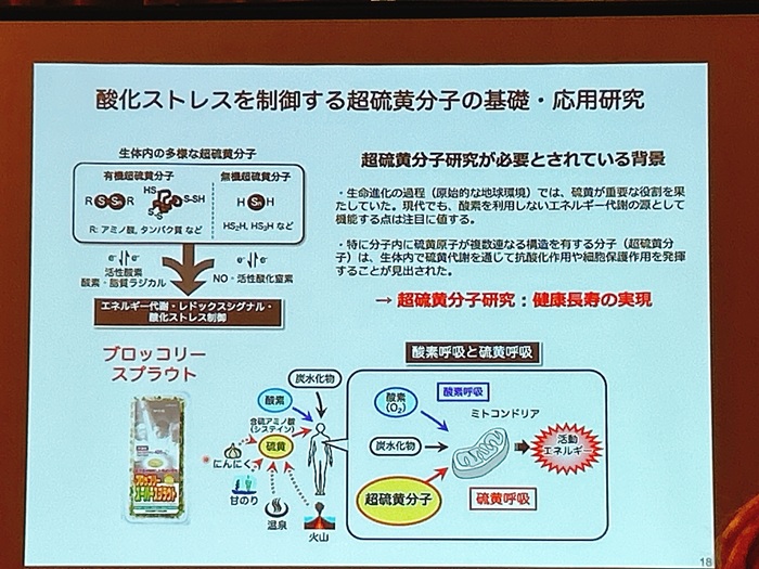 「超硫黄分子(スーパーサルファイド)」発表会