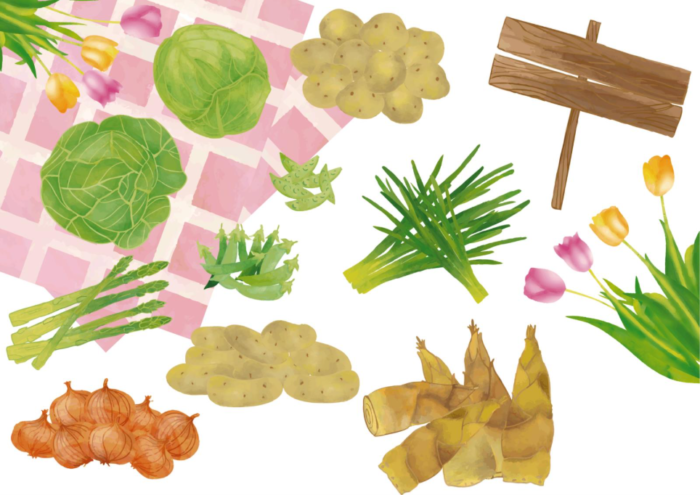 春野菜のイメージイラスト