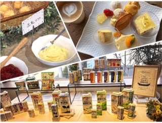 豆乳はここまで進化！ “飲む”から“食べる”へ広がるマルサンアイ発表会レポート