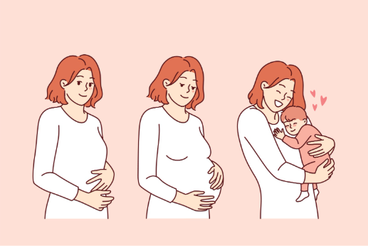 妊娠〜赤ちゃんを抱える女性のイラスト