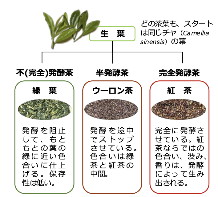 茶葉の図