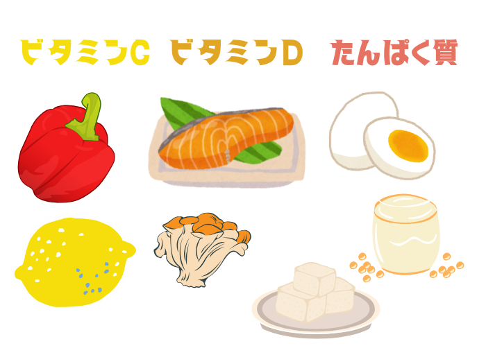 栄養素食材