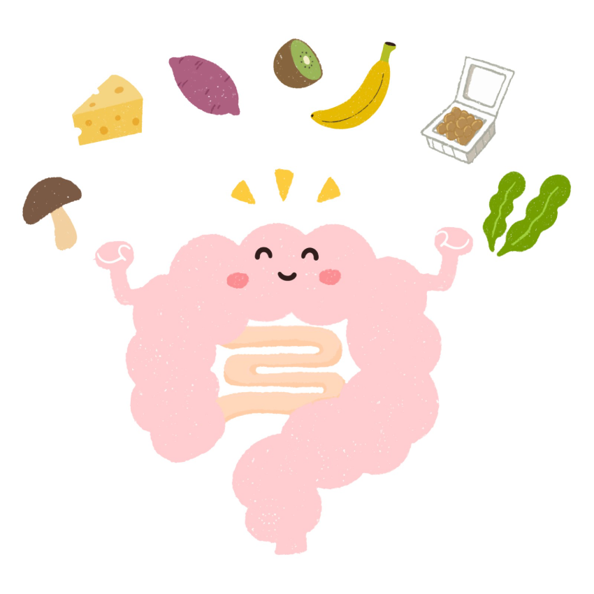 食べたもので腸が働くイメージ