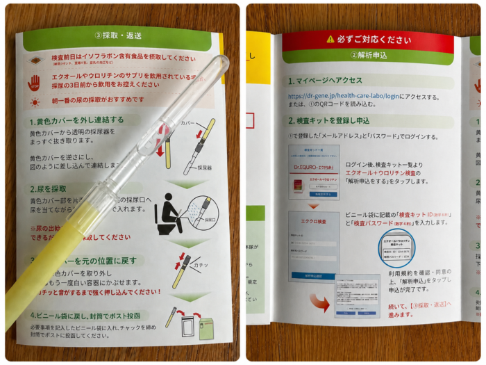採尿したキットを郵送するだけでO K!