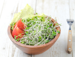 村上農園×東北大学、最強のタッグが「老化」の常識を変える!? ブロッコリースプラウトと超硫黄分子の研究最前線！