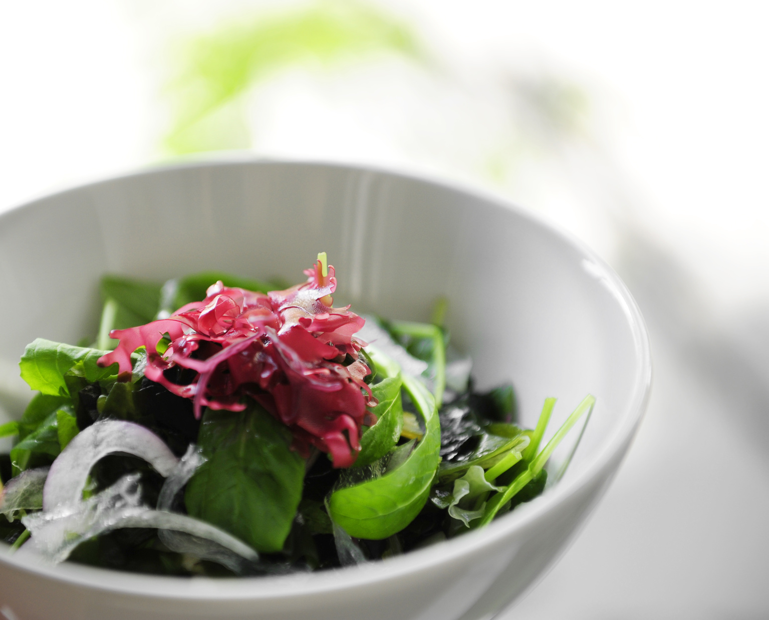 スペイン女性に人気沸騰中 日本でおなじみワカメを食して健康美 ダイエット フィットネス ヘルスケアのことならfytte フィッテ