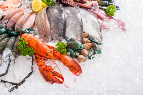 赤身魚 青魚 白身魚 ダイエット中に向いている魚を色別に解説 ダイエット フィットネス ヘルスケアのことならfytte フィッテ