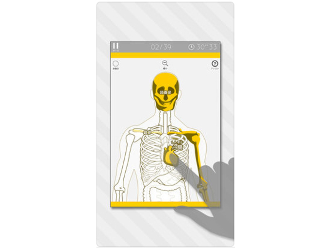内臓 と 骨格 の知識が身につく 新感覚ゲームアプリ 人体模型パズル ダイエット フィットネス ヘルスケアのことならfytte フィッテ