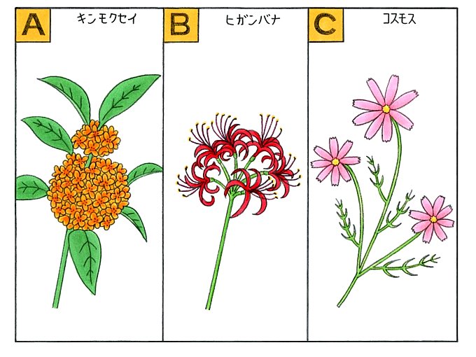 心理テスト ふと見渡すと 花が咲いていました その花は何 ダイエット フィットネス ヘルスケアのことならfytte フィッテ