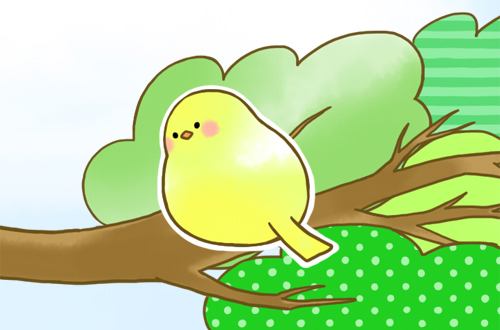 真ん中の黄緑の小鳥
