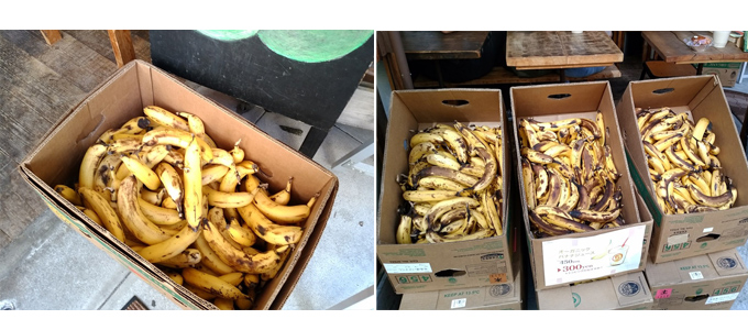 右 バナナ３箱 左 バナナ１箱