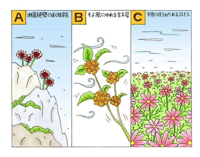 心理テスト 夢の中で 花が咲いています それは何の花 ダイエット フィットネス ヘルスケアのことならfytte フィッテ 心理テスト 夢の中で 花が咲いています それは何の花 ダイエット フィットネス ヘルスケアのことならfytte フィッテ