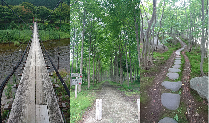 つり橋、白樺、石の道の写真