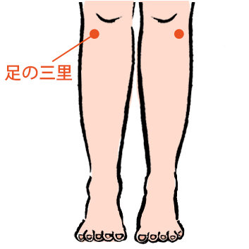 脚のだるさから胃腸の不調にまで効く、万能な消化器系のツボ。 江戸時代に松尾芭蕉が全国行脚をしている途中、元気に歩き続けるために足の三里にお灸をすえていたといわれています。