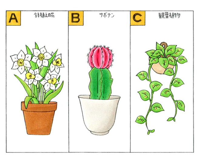 心理テスト 部屋の中に植物を飾ります あなたが選んだ植物は何 ダイエット フィットネス ヘルスケアのことならfytte フィッテ