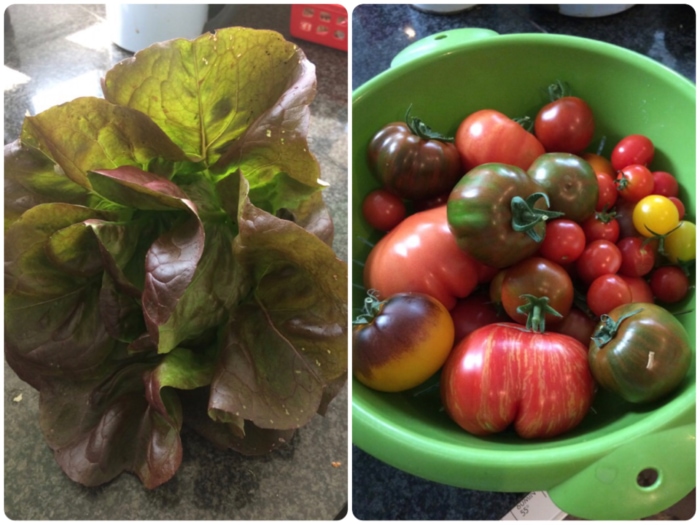 庭仕事にますますのめり込む日々 私の好きな おうち時間の過ごし方 ベルギー編 ダイエット フィットネス ヘルスケアのことならfytte フィッテ