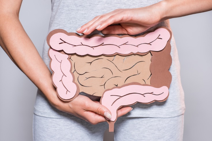 胃腸のイラストをお腹のあたりで掲げる女性の画像