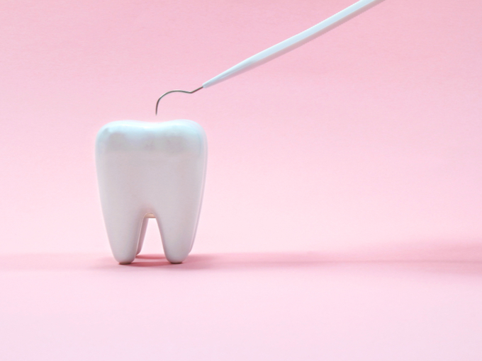歯の模型とプラークを除去する医療器具