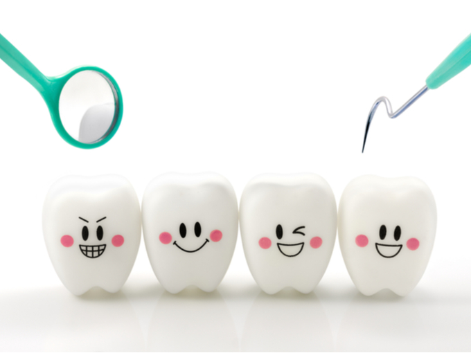 歯の模型と歯科治療の器具