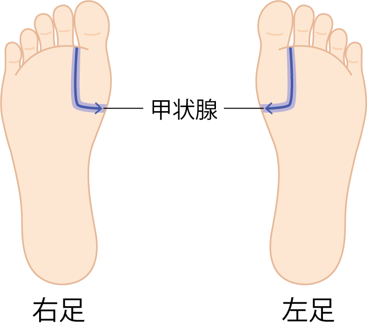 ３週間の足刺激生活レポ 赤い足裏は猛暑疲れのサイン この秋に体調を崩さないための立て直し方法 とは ダイエット フィットネス ヘルスケアのことならfytte フィッテ