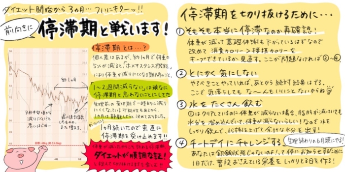 人気ダイエットインスタグラマー でぶみ ゆうさん 流 ダイエット中の 停滞期 の乗り越え方 ダイエット フィットネス ヘルスケアのことならfytte フィッテ