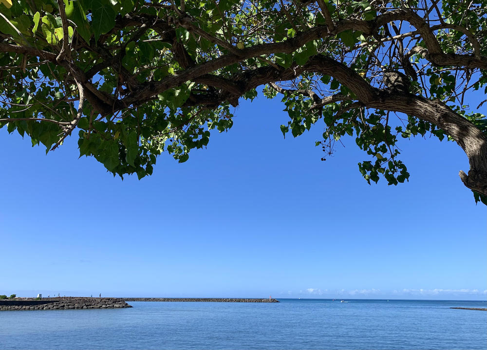 青空とハワイの海