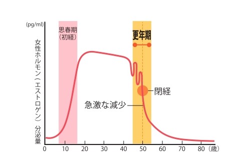 髪 肌 のどのパサつきは エストロゲン 減少のせい 更年期症状のしくみを知ろう Part2 ダイエット フィットネス ヘルスケアのことならfytte フィッテ