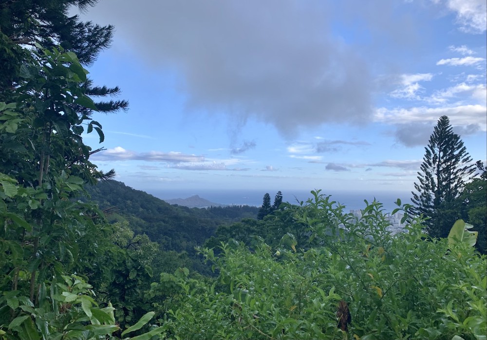 ハワイの山からみた景色