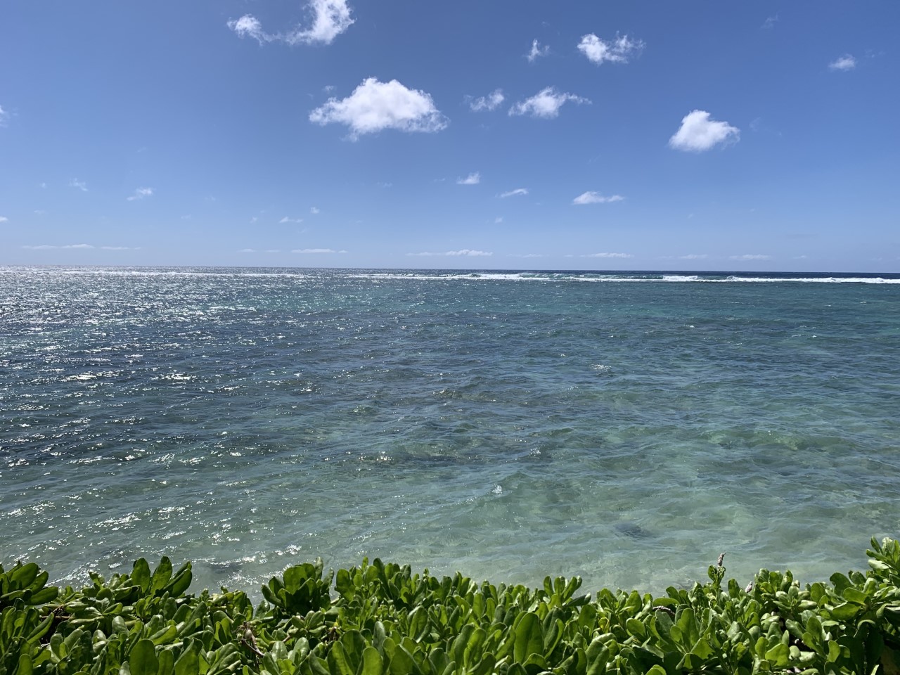 ハワイの透き通った海